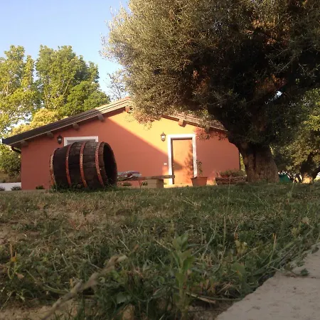 Apartment Collamato