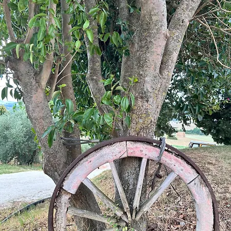 Collamato * San Severino Marche