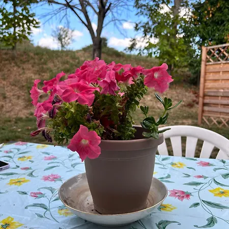 Apartment Collamato *