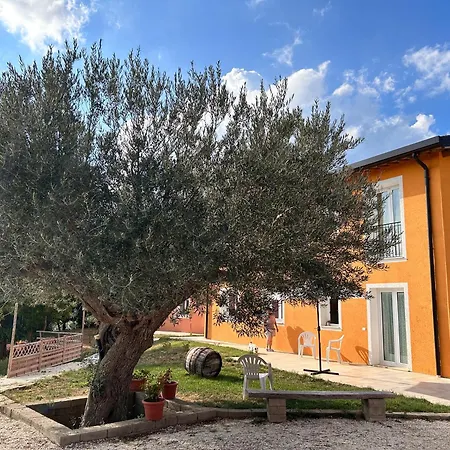 Collamato